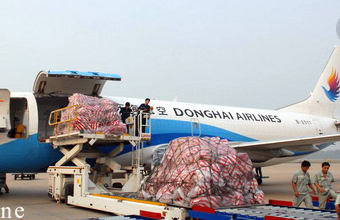 航空運(yùn)輸公司滿意而歸、為您的貨物保駕護(hù)航