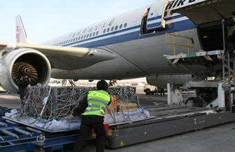 航空運(yùn)輸公司提供更好、更快捷的貨運(yùn)派送服務(wù)
