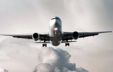 在上海航空貨運(yùn)公司辦理寵物托運(yùn)的注意事項(xiàng)