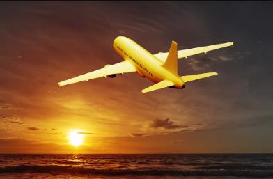 航空貨運(yùn)公司對全球經(jīng)濟(jì)的重要性、挑戰(zhàn)和發(fā)展前景如何？